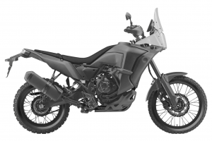 triumph-easy-winter-il-programma-di-manutenzione-e-ancora-piu-smart-e-conveniente
