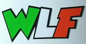motogp-quei-messaggi-in-codice-valentino-rossi-style-ad-austin