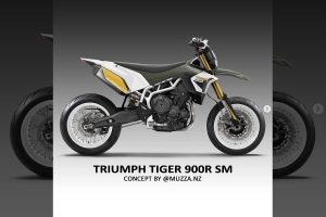 una-triumph-tiger-900-rally-rivisitata-in-chiave-supermoto-by-muzza