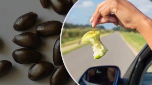 lancia-i-semi-della-frutta-dal-finestrino-lo-stanno-facendo-tutti-il-motivo-ti-stupira
