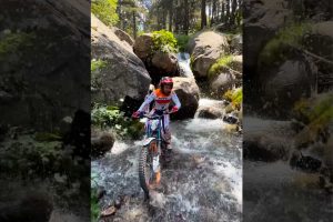 toni-bou-alla-ricerca-del-fresco-il-video