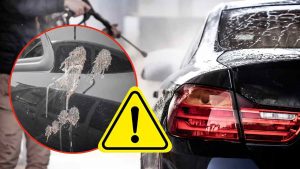 escrementi-di-uccelli-ti-disintegrano-la-carrozzeria-se-non-la-lavi-cosi-rimane-macchiata