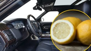 limone-perche-dovresti-averne-sempre-uno-in-macchina-ti-salva-la-vita