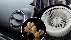zenzero-mettine-un-pezzetto-nel-bocchettone-dellaria-condizionata-il-risultato-ti-lascera-di-stucco