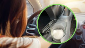 bicchiere-di-sale-corri-a-metterlo-in-auto-prima-di-partire-potrebbe-salvarti