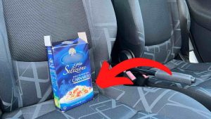 metti-una-scatola-di-riso-in-auto-risolve-un-grosso-problema-da-oggi-lo-faranno-tutti