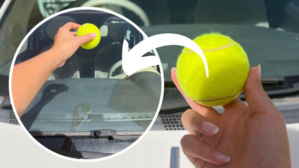 pallina-da-tennis-sopra-il-vetro-dellauto-ormai-lo-fanno-tutti-ti-salva-da-questo-pericolo