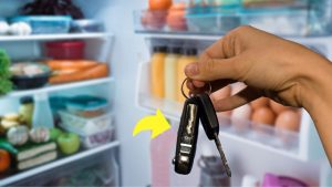 perche-dovresti-mettere-le-chiavi-dellauto-in-frigo-non-te-lha-mai-detto-nessuno