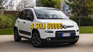 fiat-panda-in-arrivo-questo-modello-dal-costo-irrisorio-di-6-mila-euro-affrettati
